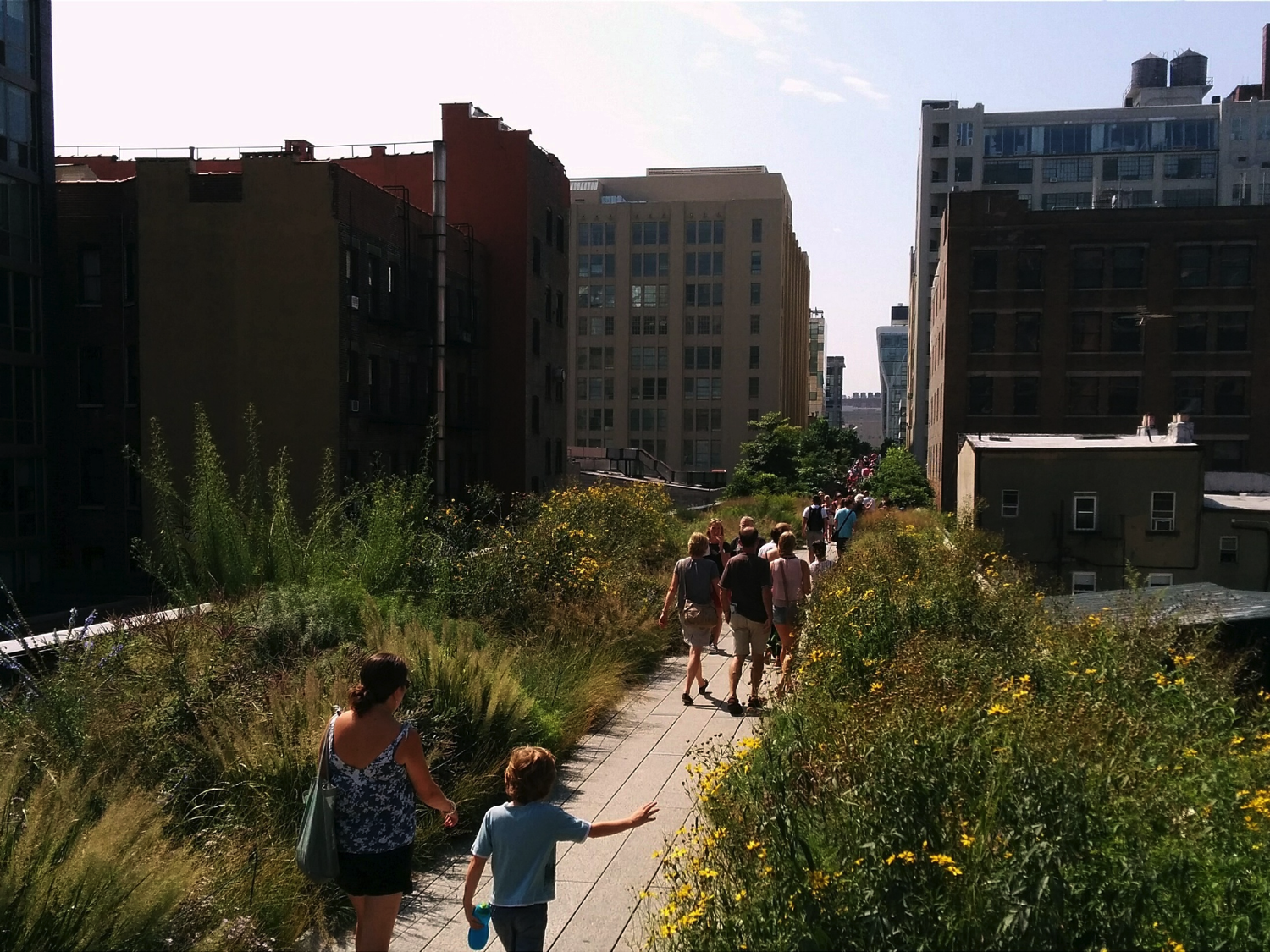 The High Line, New York City by Mark Skarratts via Flickr (CC BY 2.0)