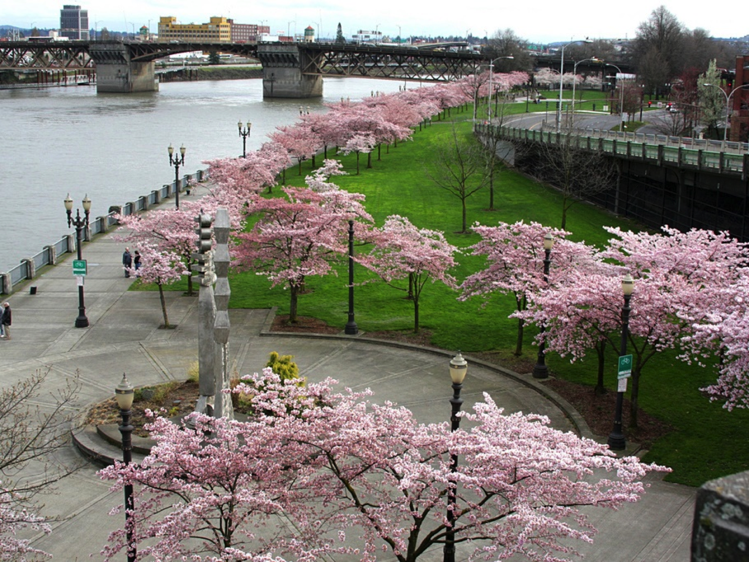Waterfront Park, Portland by Northwes-Historian via Wikimedia Commons (CC BY-SA 2.0)